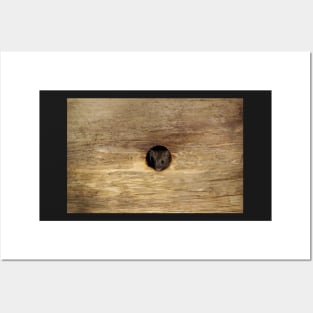 George the mouse in a log pile house - peep hole . Posters and Art